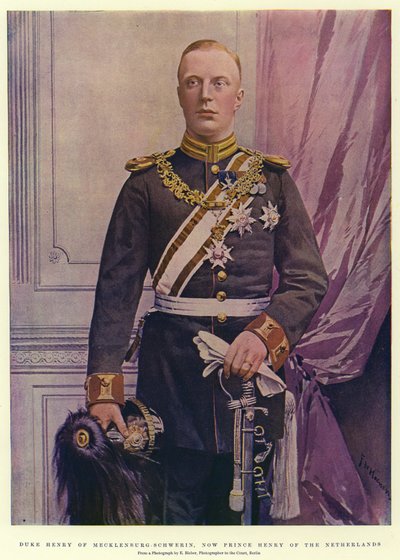 Hertog Hendrik van Mecklenburg-Schwerin, nu Prins Hendrik van Nederland door Frederic de Haenen