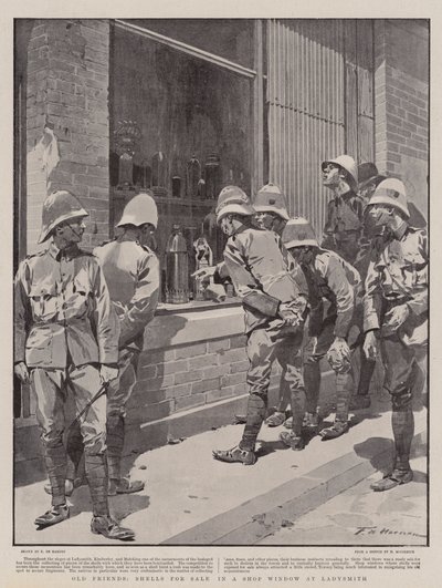 Oude vrienden, schelpen te koop in een etalage in Ladysmith door Frederic de Haenen