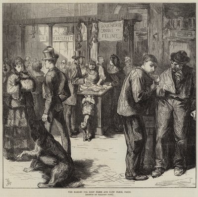 De markt voor honden- en kattenvlees, Parijs door Frederick Barnard