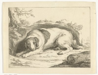 Spaniël door Frederick Bloemaert