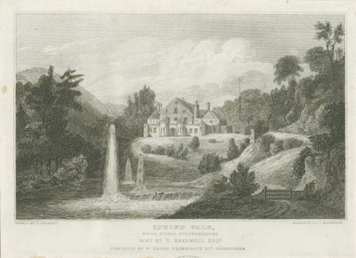 Stone - Spring Vale door Frederick Calvert