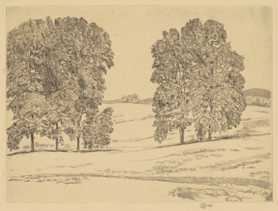 Hickories in een hooiveld door Frederick Childe Hassam