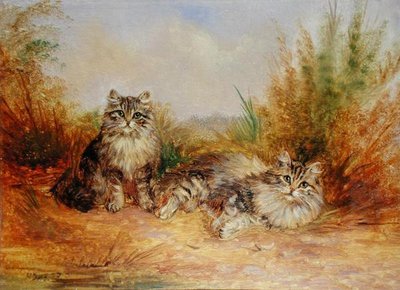 Twee gestreepte kittens in een landelijke omgeving door Frederick French
