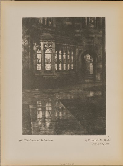 Het hof van reflecties door Frederick M. Bush
