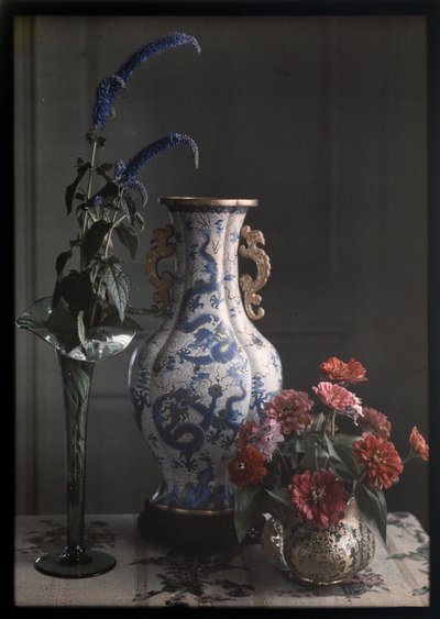 Stilleven met sierlijke Chinese vaas door Frederick S. Dellenbaugh