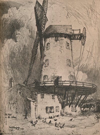 De Molen in de Wirral door Frederick Vango Burridge