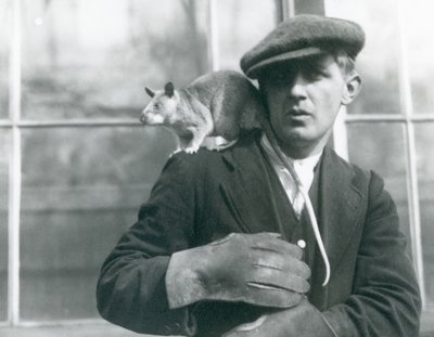 Een Malagassische reuzenrat zit op de schouder van zijn verzorger, London Zoo door Frederick William Bond