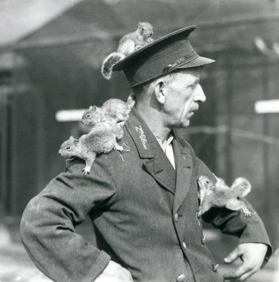 Een tweede klas verzorger met vier jonge grijze eekhoorns die op zijn uniformhoed en -jas klimmen, London Zoo door Frederick William Bond