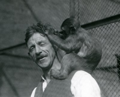 Een jonge aap verzorgt het haar van verzorger Flewin, London Zoo 1928 door Frederick William Bond