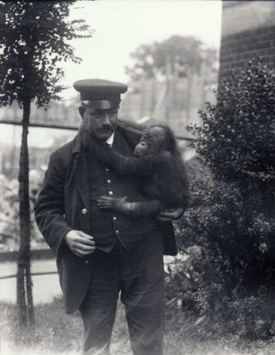 Verzorger Z. Rodwell met jonge Orang-oetan in de Londense Zoo, oktober 1913 door Frederick William Bond