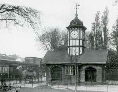 Het Kameelhuis, London Zoo door Frederick William Bond