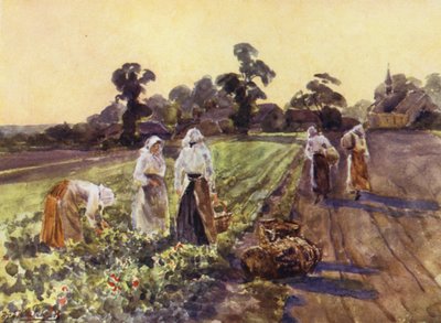 Ontwijkende Exhall door Frederick William Newton Whitehead
