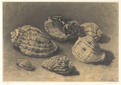 Zes schelpen door Frederik Willem Zürcher