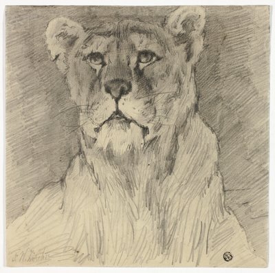 Vooraanzicht van zittende leeuwin door Frederik William Zurcher