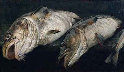 Kabeljauw door Fredrik Kolstoe