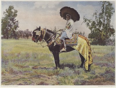 Een Tunesische persoon te paard door French Photographer