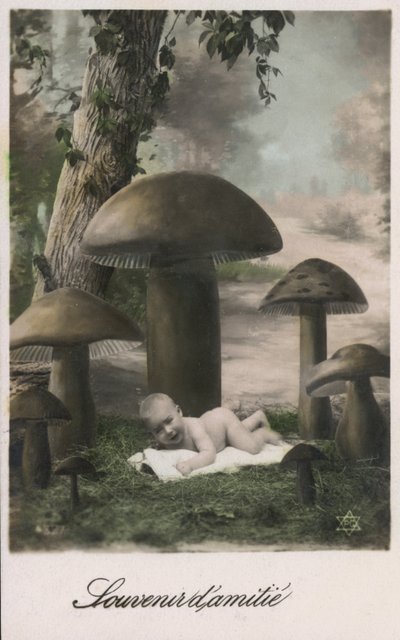 Baby in een paddenstoelenveld door French Photographer