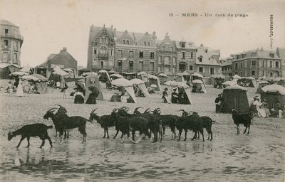 Mers - een deel van het strand door French Photographer