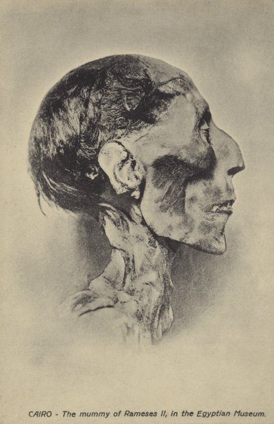 Mummie van Ramses II door French Photographer
