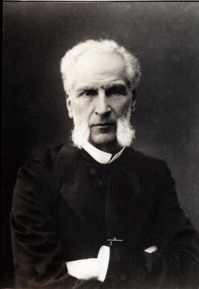 Portret van Aime Joseph Edmond Rousse (1817-1906), Franse advocaat door French Photographer