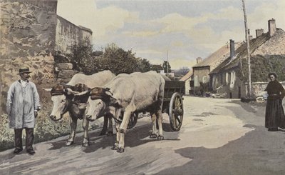 Saulieu, Een rijtuig in de Morvan door French Photographer