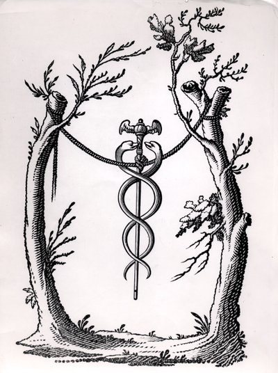 Een caduceus door French School