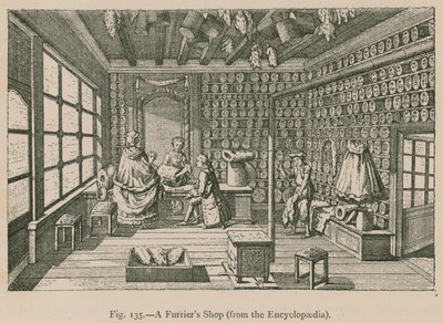 Een bontwinkel (uit de Encyclopaedia) door French School
