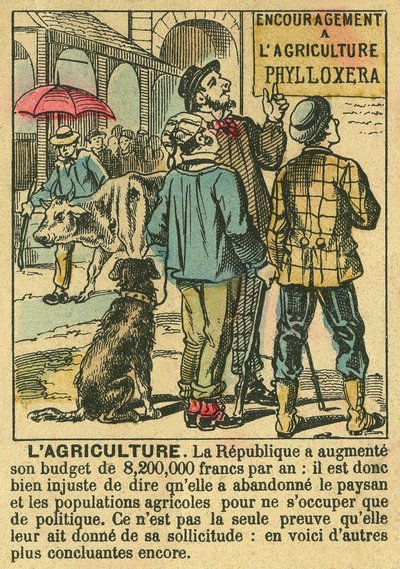 Landbouw illustreert de voordelen van de Derde Republiek voor landbouwinvesteringen en de zorg voor de boerenbevolking. Gravure in 