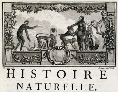 Allegorie van de Natuurlijke Geschiedenis over de apen - in 