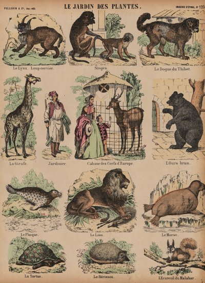 Dieren van de Jardin des Plantes, Parijs, Frankrijk door French School