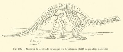 Dieren uit de Jura-periode, de brontosaurus door French School