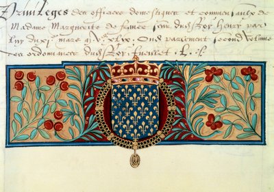 Wapens van Frankrijk (omgeven door de ketting van de Orde van Sint-Michiel en bekroond door de koninklijke kroon) door French School