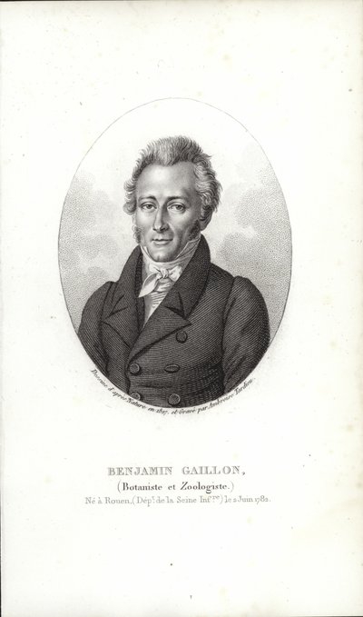 Benjamin Gaillon door French School