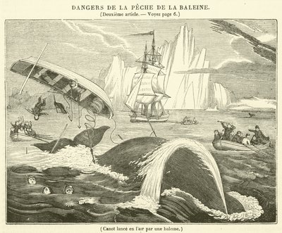 Kano in de lucht gelanceerd door een walvis (gravure) door French School
