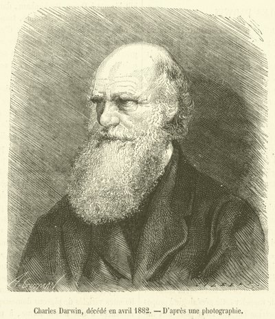Charles Darwin, overleden in april 1882 door French School