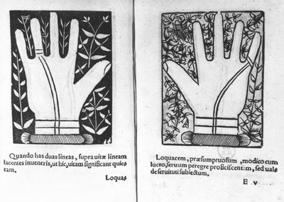 Chiromantische Handen, illustratie uit Chiromatiae Principiis...Anastasis door Bartolommeo della Rocca (Cocles) 1467-1504) 1555 door French School