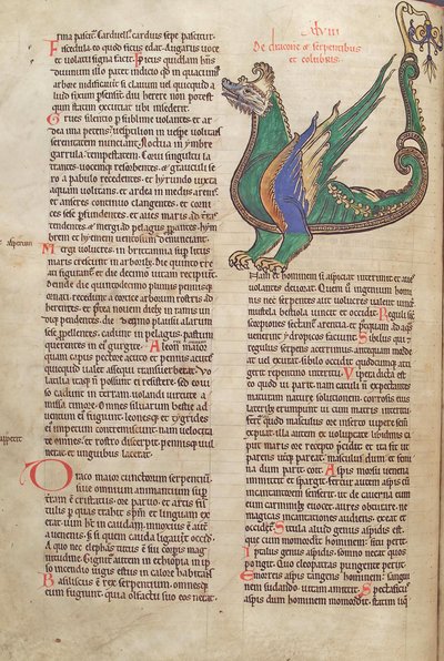 Tekst met illustratie van een Draak, uit Liber Floridus door Lambert de Saint-Omer ca. 1120 door French School
