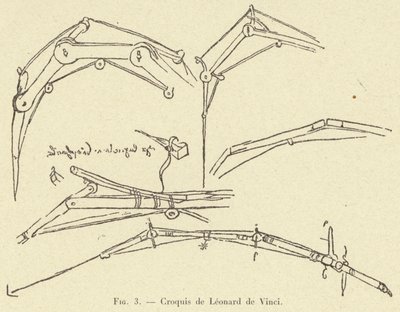Schets van Leonardo da Vinci door French School