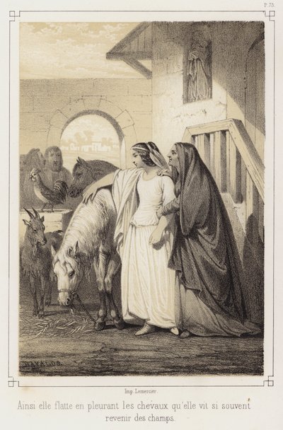 Huilend streelde ze de paarden die ze zo vaak zag terugkeren van de velden door French School