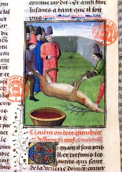 Het snijden van de poten van een dood hert, uit het Livre de la Chasse door Gaston Phebus de Foix (1331-91) door French School