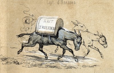 Beschrijving van de verschillende producten en toepassingen van de ezel: ezels die ladingen dragen van ezelinnenmelk. (detail) in "Les Recreations instructives" Synoptisch schilderij door Jules Delbruck, gravure uit 1860. Privécollectie. door French School