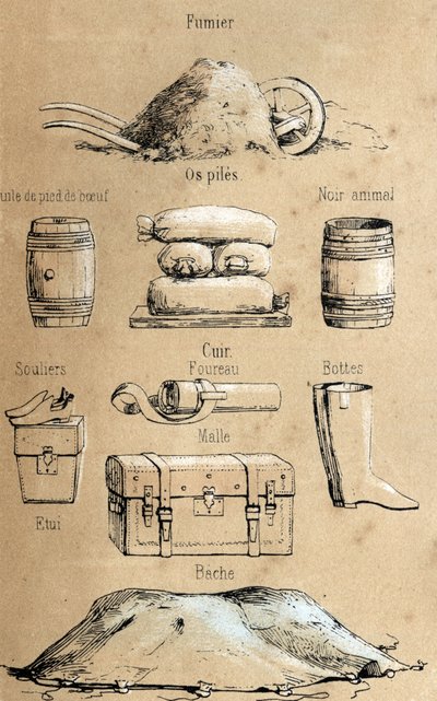 Beschrijving van de verschillende producten en toepassingen van de koe: allerlei voorwerpen gemaakt van de koe (runderpootolie, leren voorwerpen, mest). Plaat 