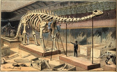 Diplodocus-fossiel in het Natuurhistorisch Museum van Parijs. Gravure uit de krant 