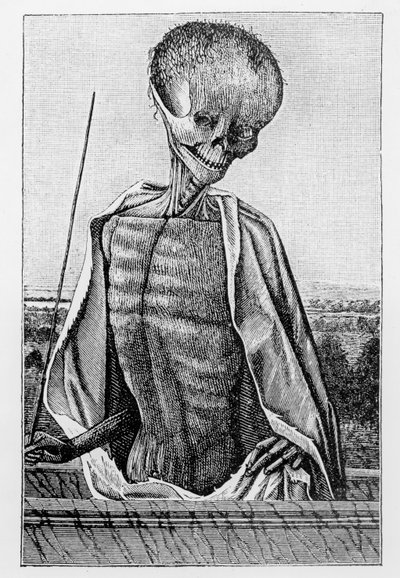 Dokter Dood, uit een Getijdenboek, illustratie uit Wetenschap en Literatuur in de Middeleeuwen en de Renaissance, geschreven en gegraveerd door Paul Lacroix, 1878 door French School