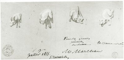 Tekening voor de Restauratie van de Waterspuwers van de Notre Dame, 1855 door French School