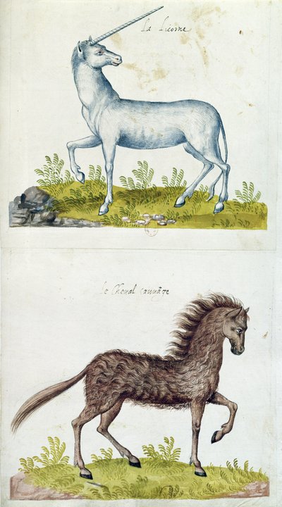 Tekeningen van een eenhoorn en een wild paard door French School