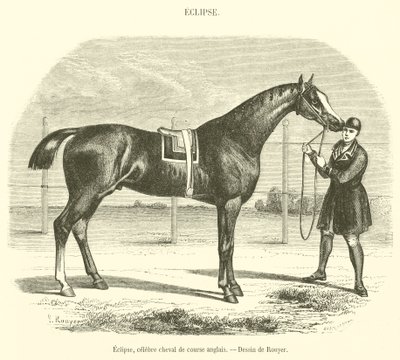 Eclipse, beroemde Engelse renpaard (gravure) door French School