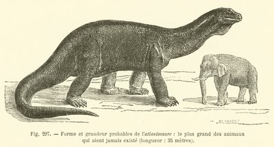 Vorm en waarschijnlijke grootte van de atlantosaurus, het grootste dier dat ooit heeft bestaan, lengte, 35 meter door French School