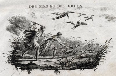 Ganzen en kraanvogels - Fabel van Aesopus (Griekse schrijver Aesopus, 6e eeuw v.Chr.) geschreven door Guillaume Montfort en gegraveerd door Beauble in 1801 door French School