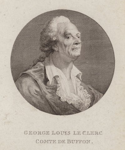 Georges-Louis Leclerc, Graaf van Buffon, Franse natuuronderzoeker door French School